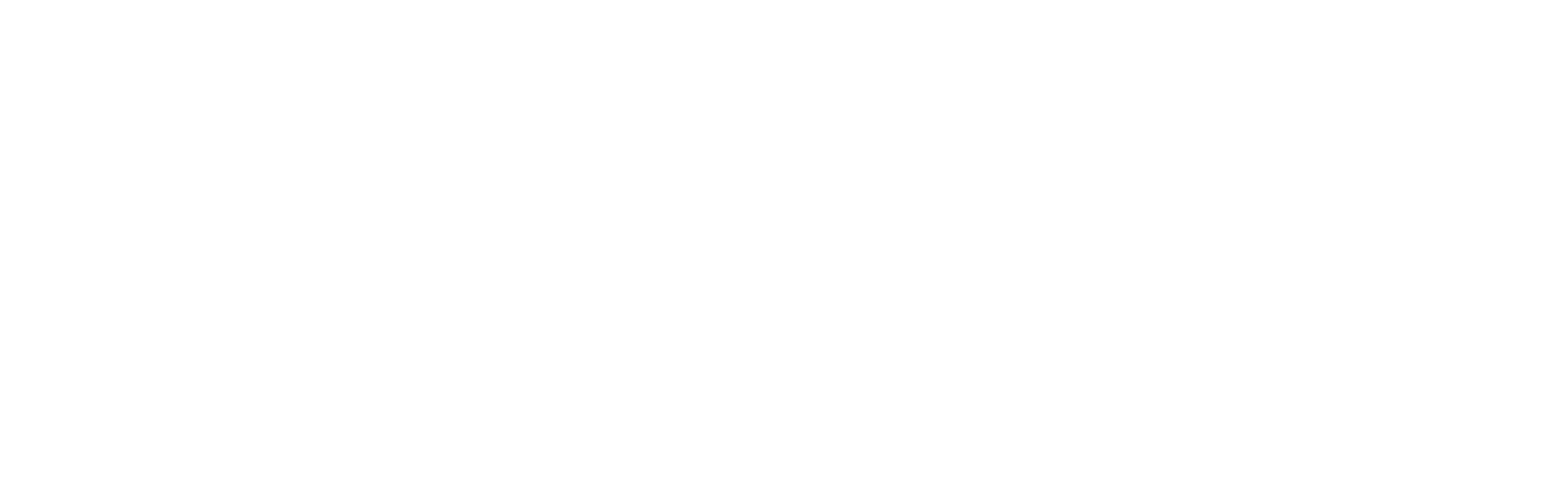 CARE Logo White