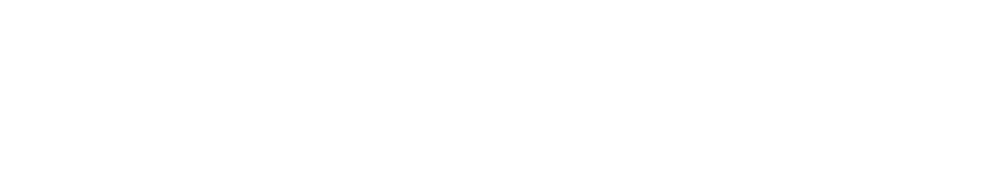 2018 Logo white